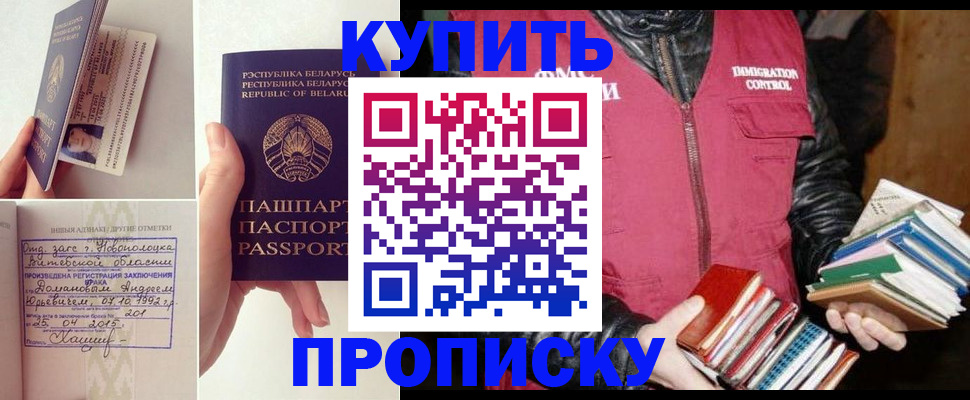временная регистрация для всех в Димитровграде